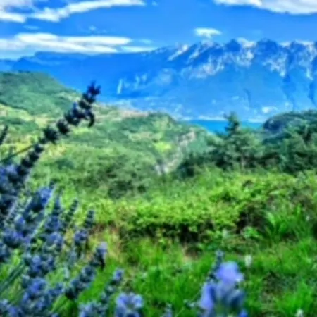 Schoene Mit Herrlichem Blick Zum Gardasee * טיניאלה
